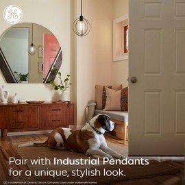 GE Pearl Filament LED Light Bulbs, ST19 Edison Style, High-Definition and Dimmable LED Bulbs, Soft White, 60-Watt Replacement, 15,000 Hours Lifespan, 8 Pack