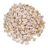 150 PCS 0.63"-0.71" Natural Strong Cowrie Shell Beads Smooth Cut