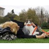 Cat Harness and Leash Set Gold Moons Soft Nylon Escape