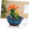 BESPORTBLE Ceramic Orchid Planter Pot Drainage Hole for Succulents Small