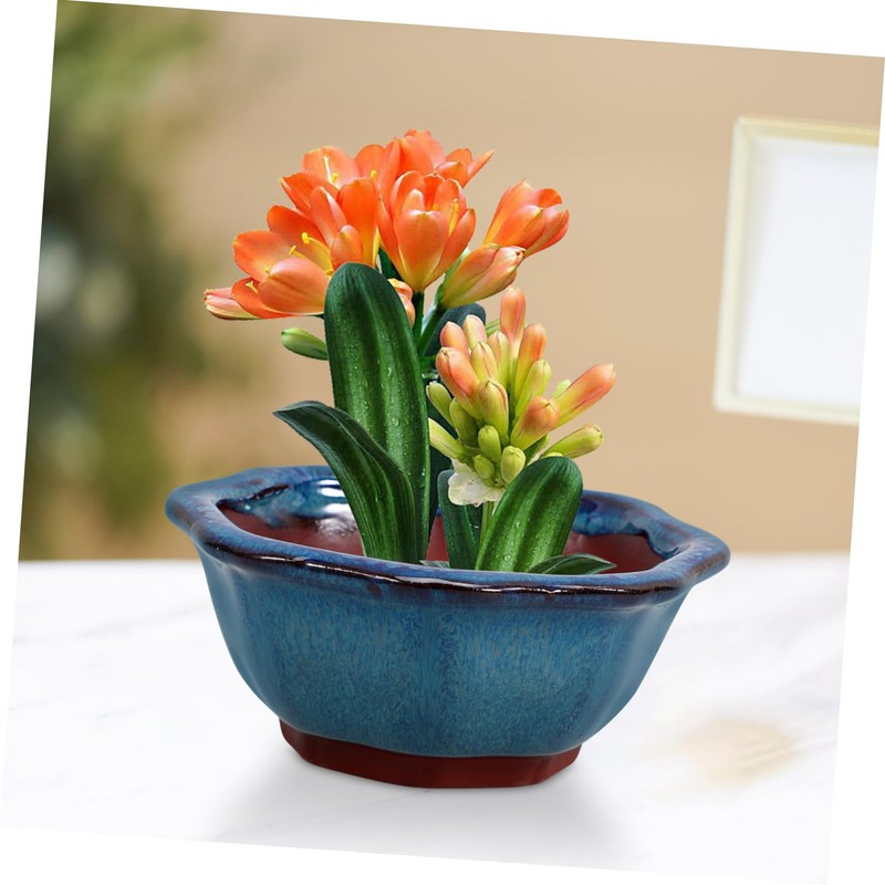 BESPORTBLE Ceramic Orchid Planter Pot Drainage Hole for Succulents Small