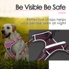ThinkPet No Pull Harness Breathable Sport Harness with Handle-Dog Harnesses