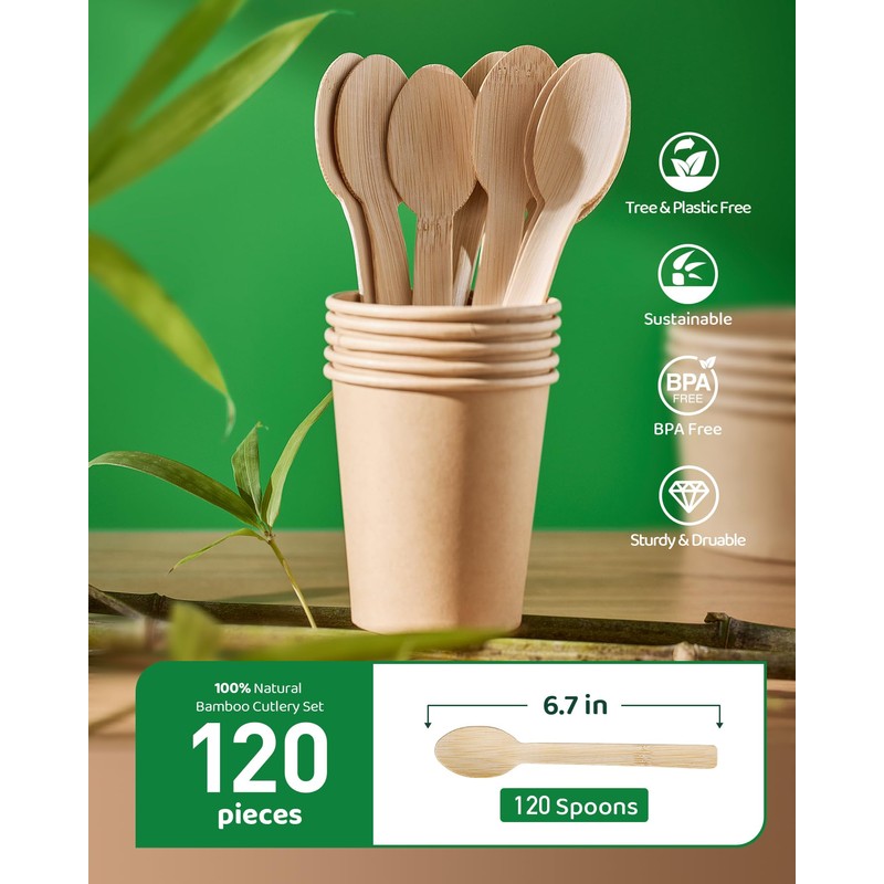 100% Natural Bamboo Disposable Cutlery Set - 120 Spoons 6.7"