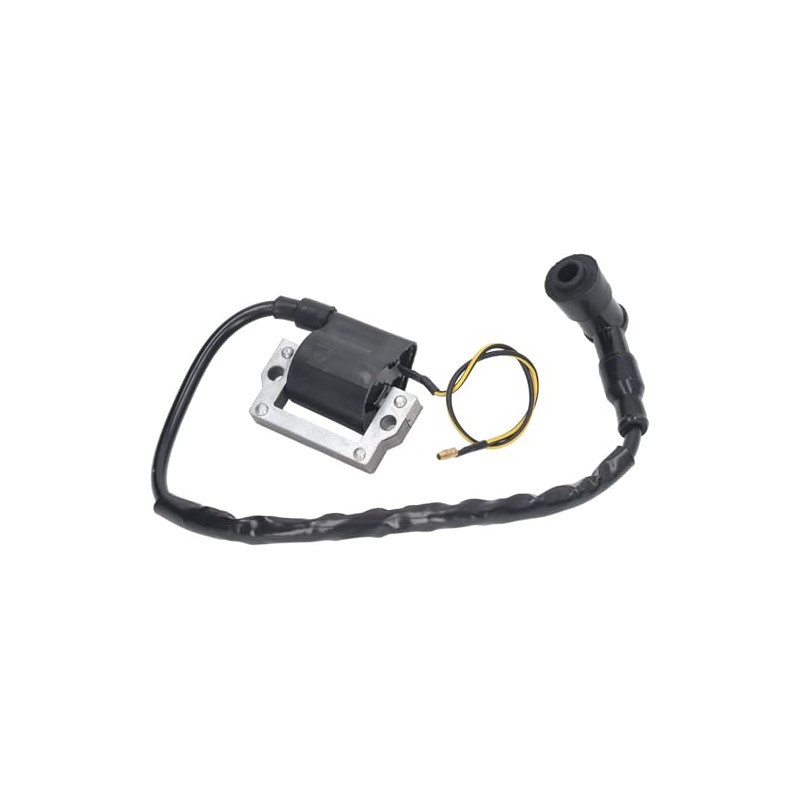 Ignition Coil for Honda XR75 XR80 XR185 XR200