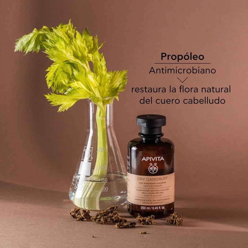 Apivita Shampoo Contra las Caspas Secas 250ML