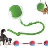 Jefuzh Interactive Rolling Dog Ball, Interactive Rolling Ball Dog Toy, Chewie Viral Rolling Ball, Active Rolling Ball for Dogs, 360° Smart Automatic Rolling Pet Ball(Red) (Green)