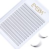 12D Premade Fan Eyelash Extensions, D-Curl, 0.05 mm, 11 mm,