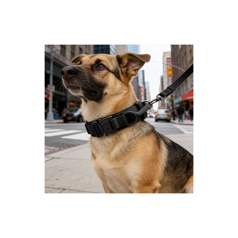 Collar de perro Táctico, Collar de Perro de Nailon Militar