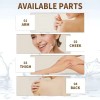 Pomada Herbal Antibacterial para Cuidado de la Piel Sensible Irritación,
