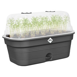 elho Green Basics Allin1 32 Propagation Bowl - Propagation Set - 100% Recycled Plastic - Diameter 32.0 x Height 13.2 cm - Black/Living Black