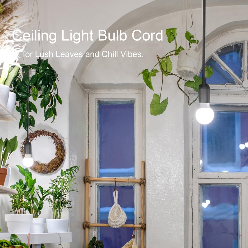 Jimosoon Hanging Light Bulb Socket with Cord - 10Ft Plug