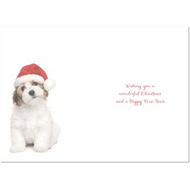 doodlecards Sister Christmas Card Dog and Santa Hat Medium Size Christmas Card for Sister with Plain Envelope