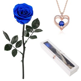 OSIAX Single Preserved Rose with Necklace (Royal Blue)