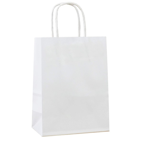 ADIDO EVA 25 PCS X-Small Gift Bags White Kraft Paper Bags with Handles for Party Favors (5.9 x 4.3 x 2.4 In)