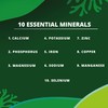 Moringa Capsules - Pure Moringa Oleifera Leaf Powder -1500mg per