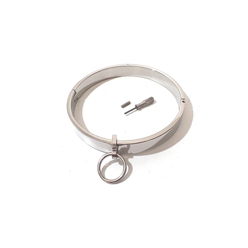 Heavy Locking Stainless Steel Collar with Removable Ring Eternity Posture