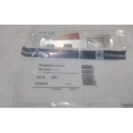 Telemecanique XCS Z01 Straight Key Tongue (TR55)