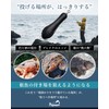 Poisson Free Rig Sinker Bottom Direct Lead 24g 28g 35g
