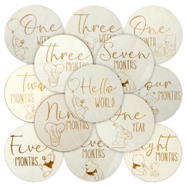 CORODER Winnie Baby Monthly Milestone Marker Discs Baby Announcement Sign Newborn Sign For Photo Prop Baby Shower Nursery Gift（16PCS）