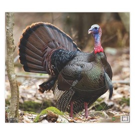 NiceTargets Turkey Archery Target, 20" x 22.5" Photorealistic Life Size Plastic Animal for Target Practice, Vanishing Vital Zones, Bow Targets for Archery Training and Hunting Practice, Made in USA