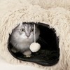LifeIdeas Large Cat Tunnel Bed, Cat Tunnel Foldable Donut Tunnel