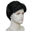 TIKJOYS Black Wig for Men Adults Prehistoric Man Wigs Short
