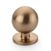 Asidrama 10 Pack Champagne Bronze Kitchen Cabinet Knobs, Cabinet Knobs