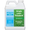 Advanced 16-4-8 Lawn Fertilizer - Liquid Lawn Food Spring &