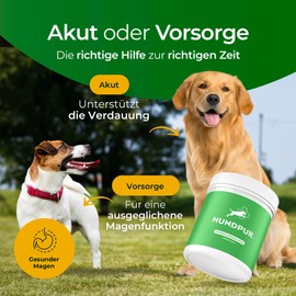 Hundpur Verdauungsglück 300g - Ergänzungsfuttermittel für Hunde - Präbiotika & Probiotika Pellets - Stabilisierung der Physiologischen Verdauung (Verdauungsglück 300g)