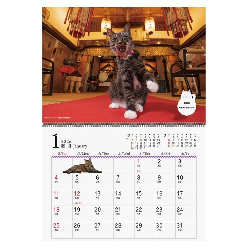 2026 Calendar Cat Calendar