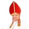 Cardinal Red Velvet Novelty Hats Caps & Headwear for Fancy
