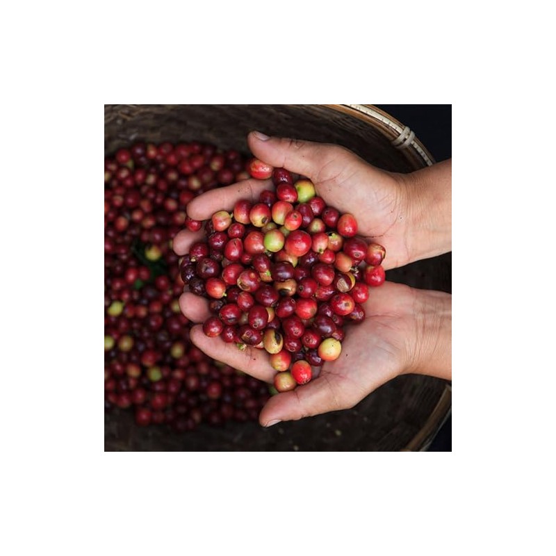 Juan Valdez | Café Soluble Liofilizado Orgánico de Colombia |