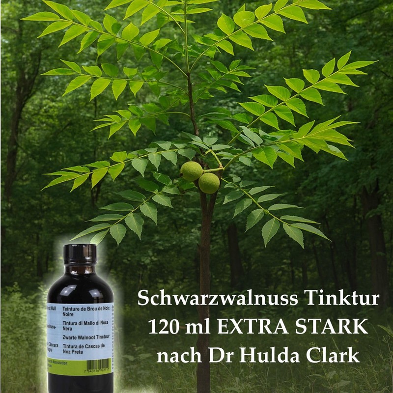 Black Walnut Tincture 120 ml Extra Strong to Dr Hulda