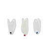 10 pcs/Pack Dental Clear Matrix Anterior Posterior Fit Bioclear BT