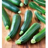 CEMEHA SEEDS - Seeds Green Zucchini Courgette Squash Tsukesha Non