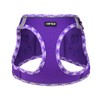 AMTOR Small Dog Harness with Leash Set, No Escape Easy