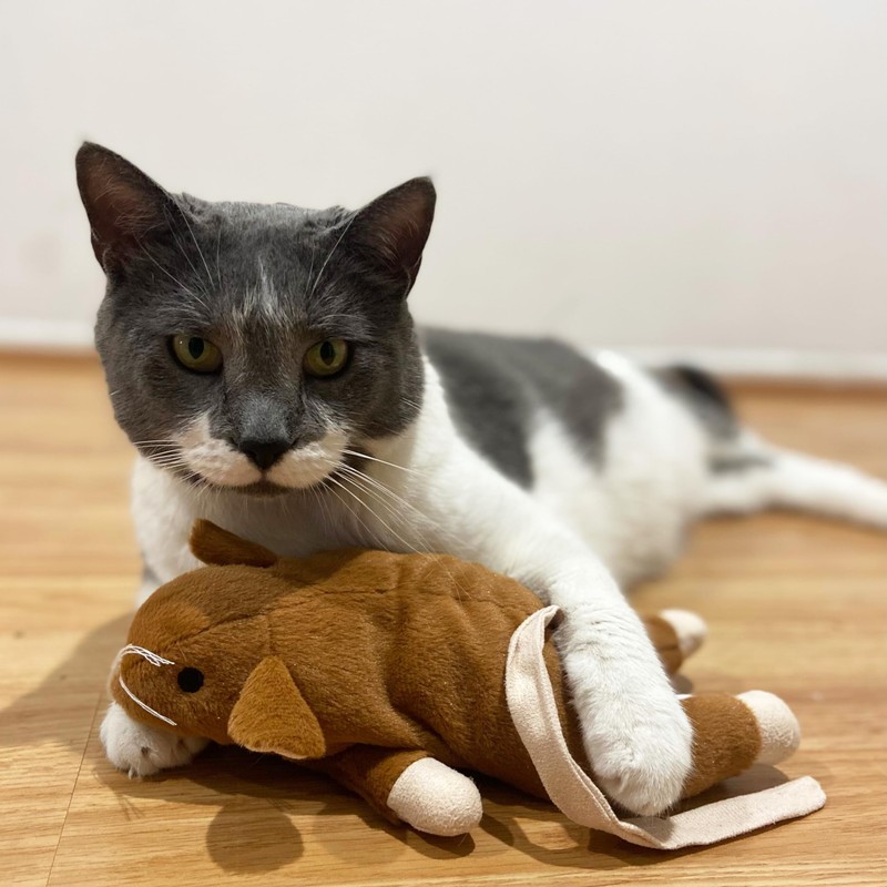 SPOT Super Mouse Sam with Catnip - Lifelike Cat Toy,