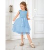 Arshiner Girls Dress Formal Party Fluffy Tulle Sleeveless Belted Light
