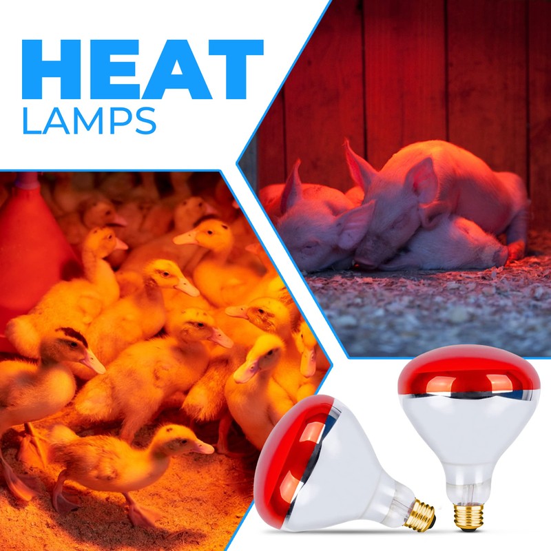 OHLECTRIC R40 Red Infrared Heat Flood Bulb with E26 Medium