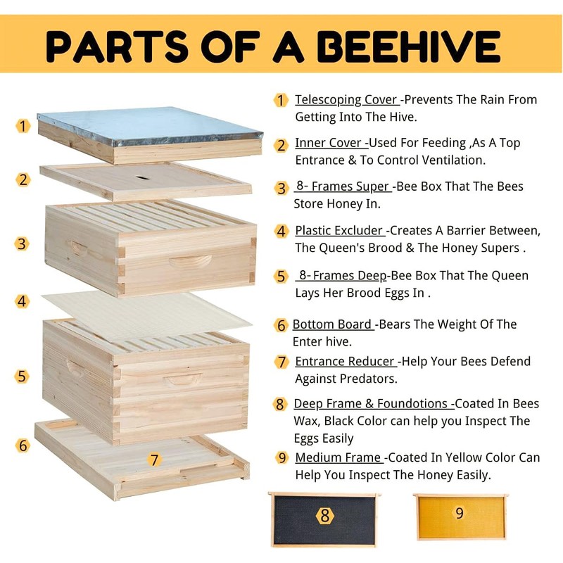 POLLIBEE 8 Frame Beehive kit, Complete Bee Hive for Beekeeper,