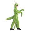 Seasons Child Praying Mantis Costume (M(8-10))