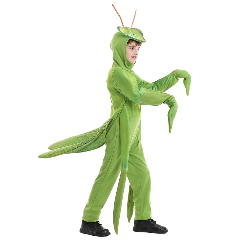 Seasons Child Praying Mantis Costume (M(8-10))