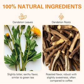 WEETEE Löwenzahn Tee Beutel, 100 Stück Löwenzahnwurzel- und Löwenzahnblatt-Teebeutel, Mischung aus Löwenzahnblättern und gerösteten Löwenzahnwurzeln, natürlicher koffeinfreier Kräutertee