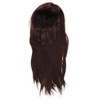 Brown Wig Fashionable Heat Resistant Soft Long Straight Layered Synthetic