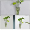 Toddmomy 2pcs Wall Mounted Plant Terrariums Cone Shaped Hanging Planter
