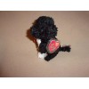 TY BO 2.0 PORTUGUESE WATER DOG BEANIE BABY- MWMT- PLAY
