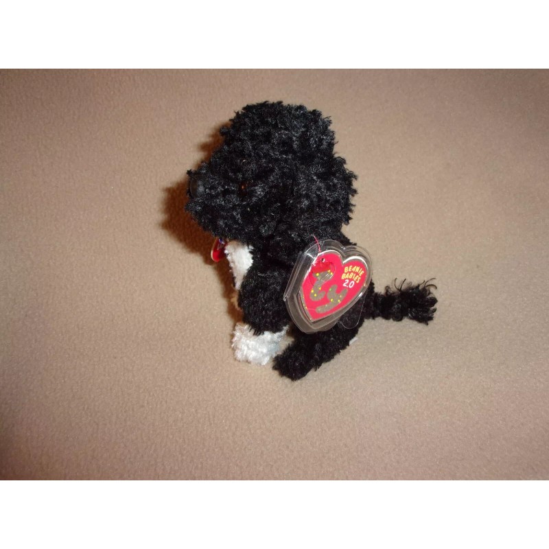 TY BO 2.0 PORTUGUESE WATER DOG BEANIE BABY- MWMT- PLAY