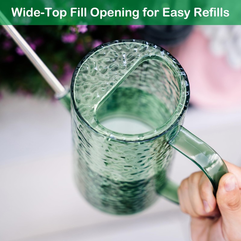 Small Watering Can Indoor Plants with 2 Spray Modes -
