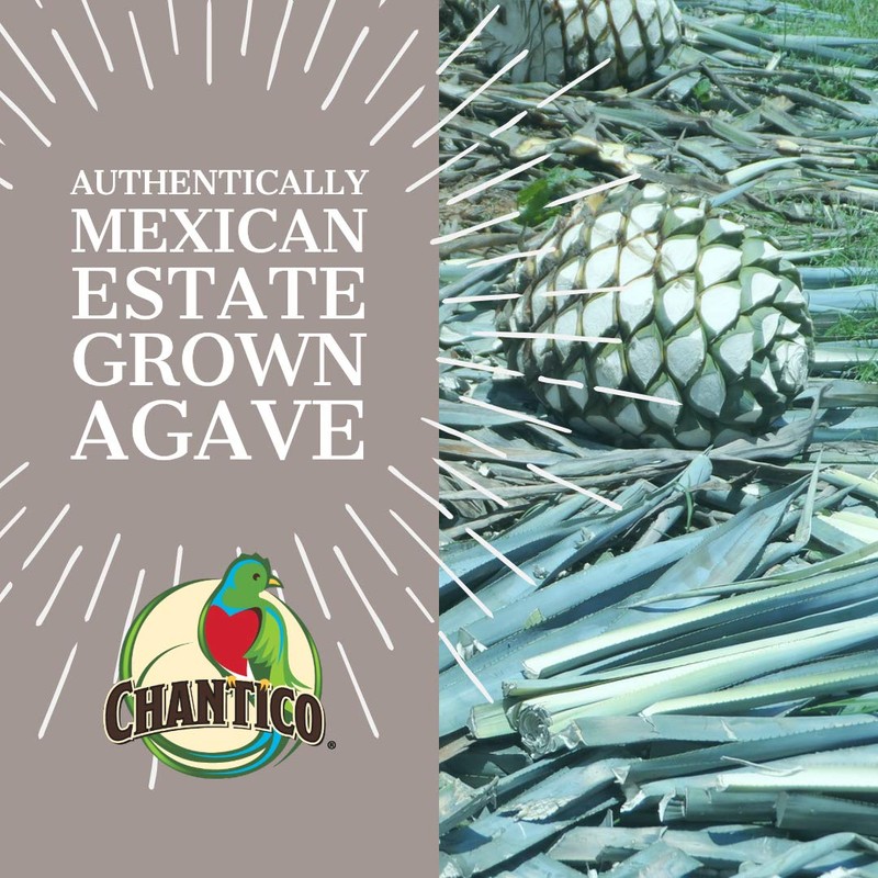 Chantico Agave Organic Sweet Granulated Agave Powder, 250g Bag, Low