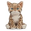 Living Nature Bengal Kitten, Realistic Soft Cuddly Cat Toy, 16.5cm,